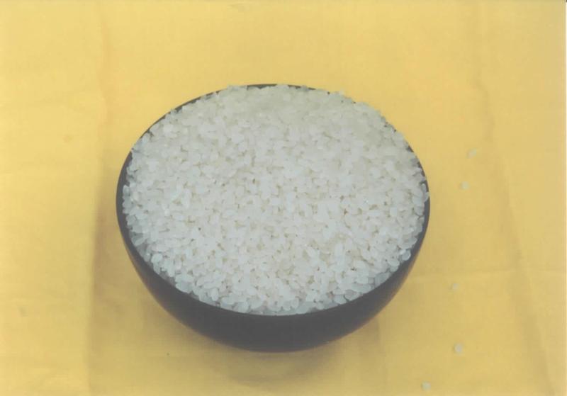 供应大米提取物